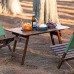 Tables de Camping de Pliage extérieure Pliante de Camping de Pique-Nique en Bois Massif Portable à l'autodonduite Barbecue de Camping Color : B Size : 80 * 48 * 43CM