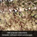 JYING Filet de Camouflage pour Décoration de Jardin Militaire pour Abris de Camping Parasol de fête en Plein air Chasse Tournage Voiture 10×10pi 3m×3m