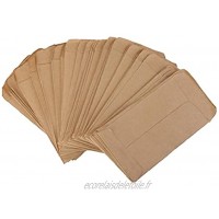 100 Pcs Brown Kraft Sacs en Papier Semences De Protection Sacs Verticale Enveloppe Style Isolation Sacs De Semences
